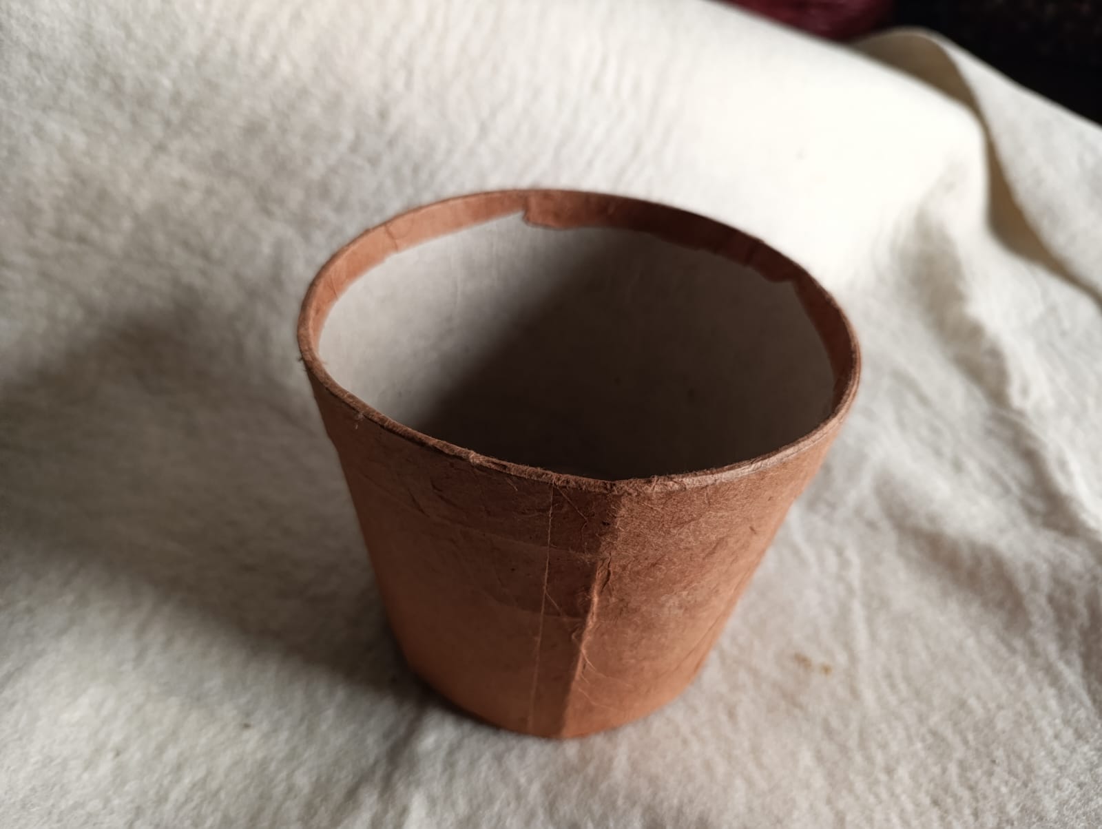 Cardboard Cup
