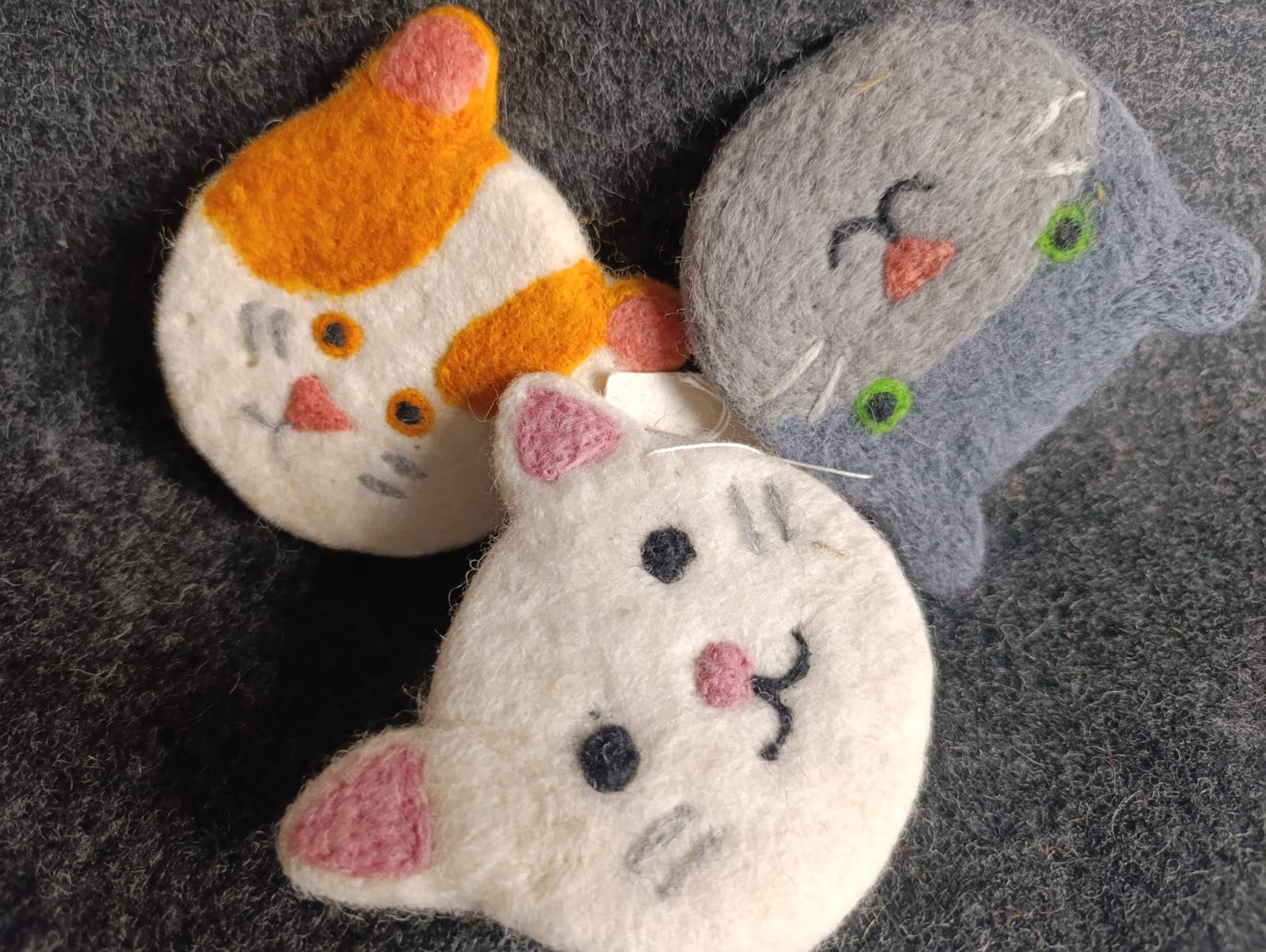 Wooly Meow