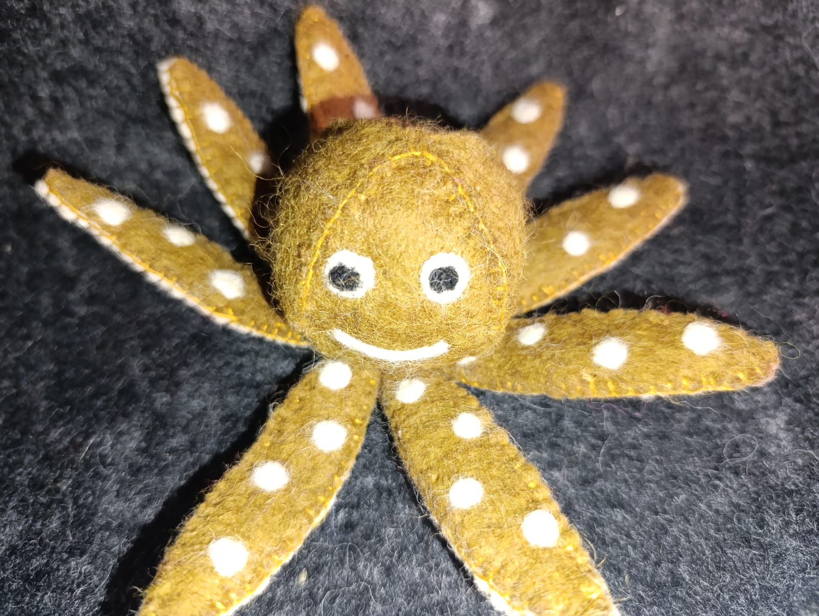 🐙 Woolly Octo