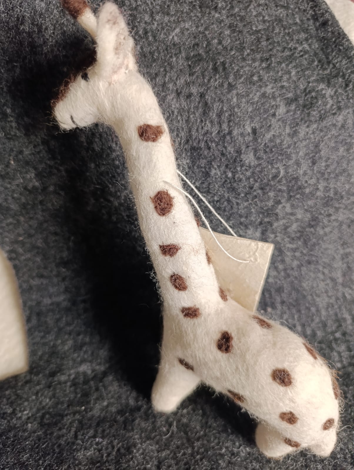 🦒 Giraffe